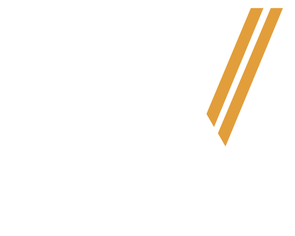 Red Global MX Virtual